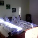 Phlox In By Interhome *