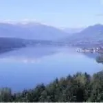 Phlox In By Interhome *