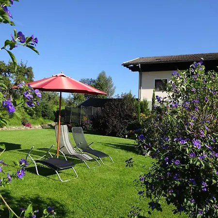 Phlox In Millstatt By Interhome * Millstatt